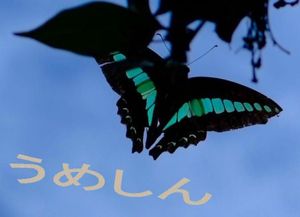 975c261878d810b499d7dd77f45a26eb