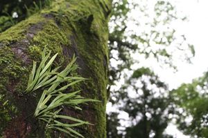 7ad7ae983f9bfae917d62af5d34b1777