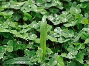 5b3393f783d6e7ac3b2ec5b6682f2b27