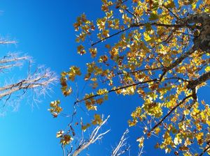 75eeb0a8d500de62921f555e006efa83