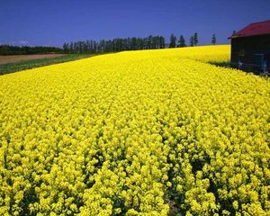 456ccd3040d60aa3aaff8238468f862d