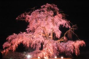 F2259ce6e21622eeff4213754d8eca96