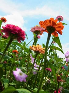 848ba7dd62f021b2f7284ee0c91cf2b7