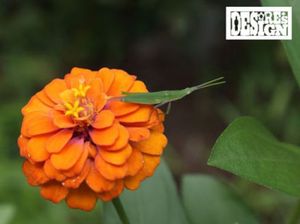 D791e7618edf50ab79937dc90de60ed4