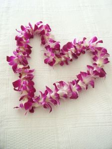 B60c3d1c036c2bf60e7d8e64bb474b09