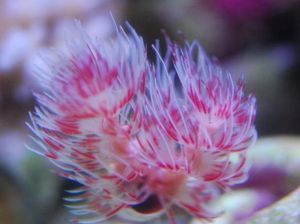 8f8161548d76cdfaab34c9281e6f1e0c