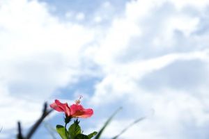 39439d6c2438f53aafeea0994f9d8949