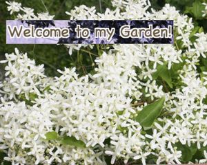 28724a39588db9ed24ed6de9b9ee1263