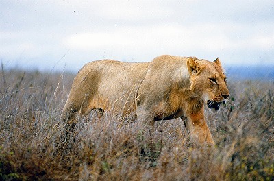 85ac42e9502c834d0264ce254994b071