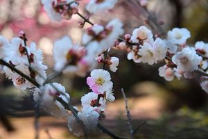 02195430c2a00274fdb6bd97a67cdb7e