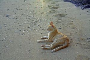 C37789c8d489bee13850da2bb53a7974