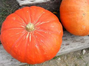 C1de1a58076ac6ffddd40b4bb561d7ee