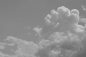 F51ed2aa9aeca01664f631f1b82373f0