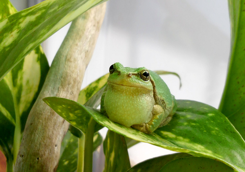 Bce6502486db360286b1fe3c3d834d84