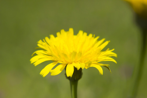 14f1c6cffbbe64b72dd987037903a27e