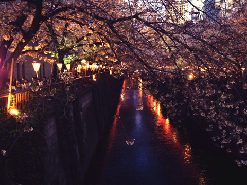 1b794d44ce875153fbc59600ba9904b2