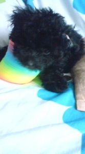 F30b6925dac0c72589aa7eb60517c0e0