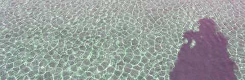 2b3e9120590077f6f0efa01694380664