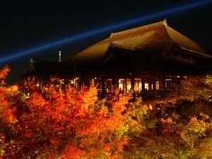 A4c6bc3bdad3523008df6a5a1d872c50