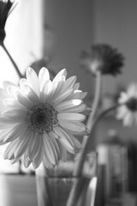 9f6919822705a32c77c5ccc1f8ae14b4