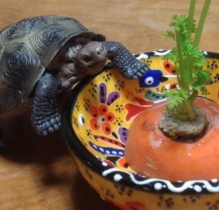 C8bd05bb6e55ae9a44d652023d1da92b