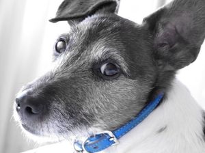 F9d0bc6792a8b96e08d8f38cab490b05