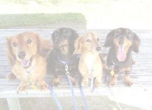 D1efd6cf314863fedda6b219affad032