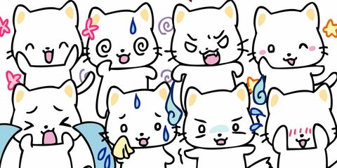 D878c135a3dcc29554c914894e18c4ce