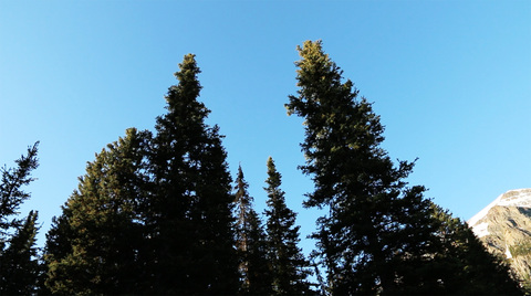 C953f411f5c706cacc96e84476ff5aa6