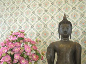 9bb7fcfe4a721f144a41068816d9a064