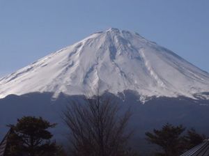 D66c50277df80b876a51281797c67643