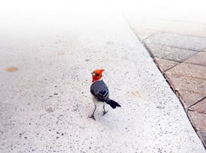 23b79e32961eab386891d6ad3258c552