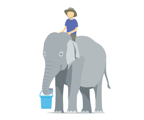 D2c1cfd2608589c3602bd64f702ea4bd