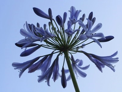 116cf630f45c2accd8ea9fafbd26f23c