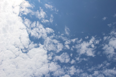 14b8438fa91fab8a47885d27e9008d2b