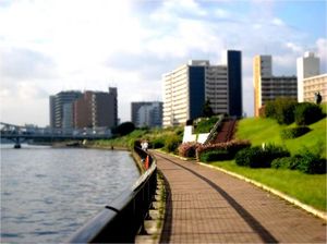 806916d6db787b86588ce78c484f922c