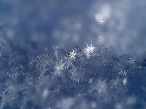 E03beb511ca5c1c24a04c39ae329fd66