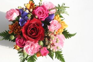 D18007ac0e1fdff2436da85b57c7034a