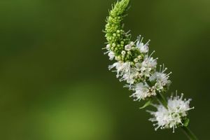 42ecb0fccd2ff6a2a7fdb6acab9b5234