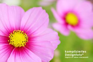 Ac5e757950e01b4557658a203f606dad