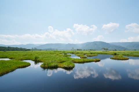 42a4207dc0baade3e053c0e9dcc4976b