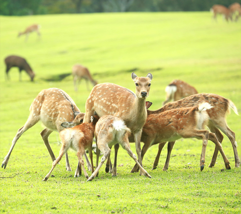 A3e310ac6455abf638cbe398a605d5f3