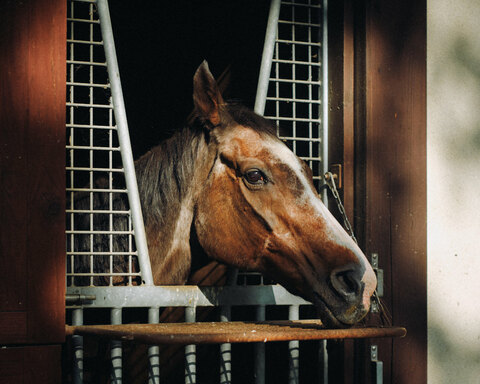 3428fd43366bd0a995d3535059d64a32