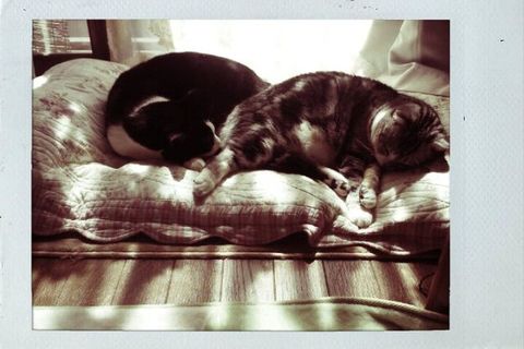 2715ac732d15b1dc1ed09d6631970d95