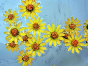 4526d3bd32078aa8b131107df5f6b53a