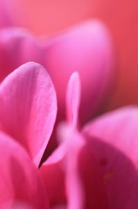 8bf965bb344f8b55c6003efd420f538c