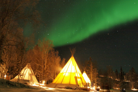 1a2e1e520c65e1c48bfcfaa0020f4015