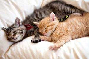 5eb2b6e32df387abc410a93522bdc316