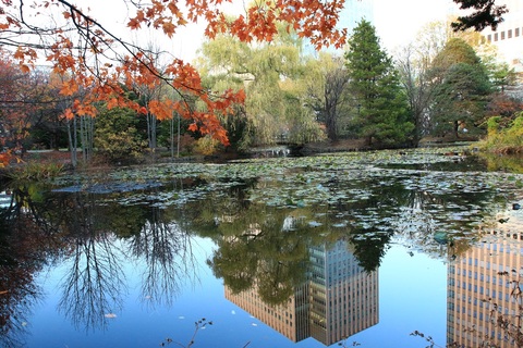 6ec1c0f1ad9da96437109cd5062be982