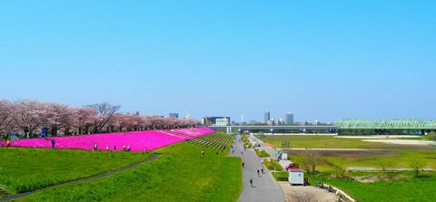 Ecea4d7602017d2e35cac47930f08030